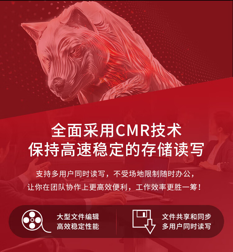 希捷(SEAGATE)NAS硬盘 6TB 256MB 7200转 CMR垂直 网络存储 SATA 数据恢复服务酷狼PRO ST6000NT001