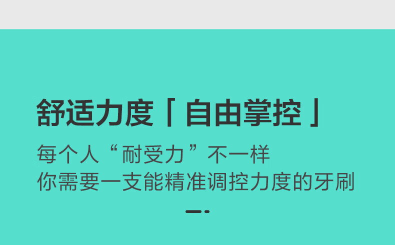 贝医生DR.BEI小花瓣 E5（紫色）声波电动牙刷