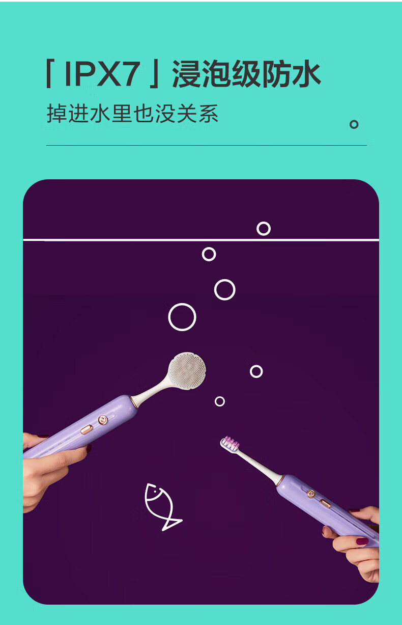 贝医生DR.BEI小花瓣 E5（紫色）声波电动牙刷