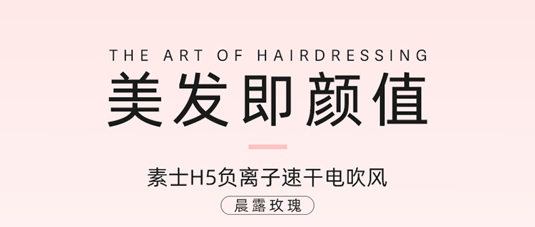 素士电吹风筒负离子高速吹风机H5粉宿舍智能学生电风吹送女生礼物