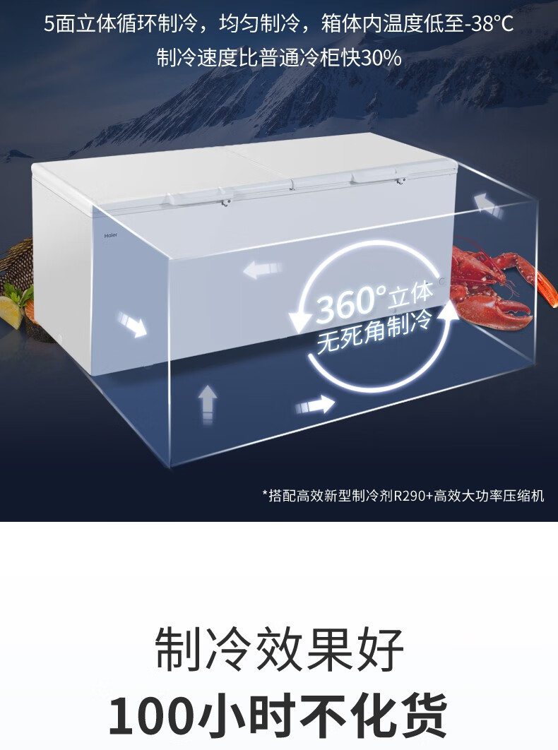 海尔（Haier）冰柜商用大容量719升 冷藏冷冻转换双门超低温冷柜 电子温控深冷速冻保鲜柜BC/BD-719HEZ