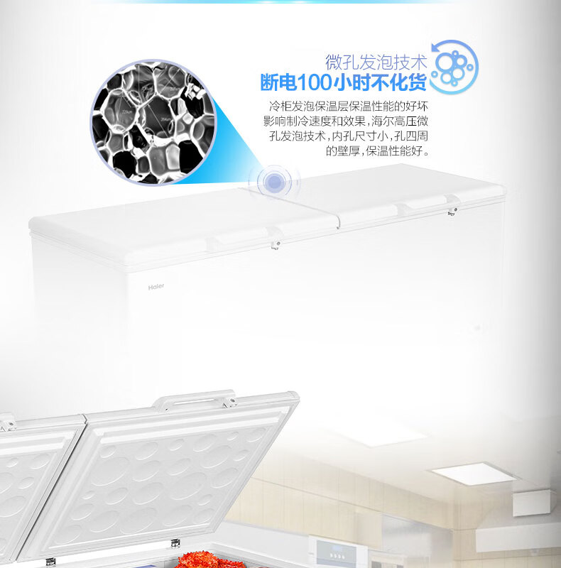 海尔（Haier）冰柜商用大容量829升 冷藏冷冻转换双门超低温冷柜 电子温控深冷速冻保鲜柜BC/BD-829HEZ