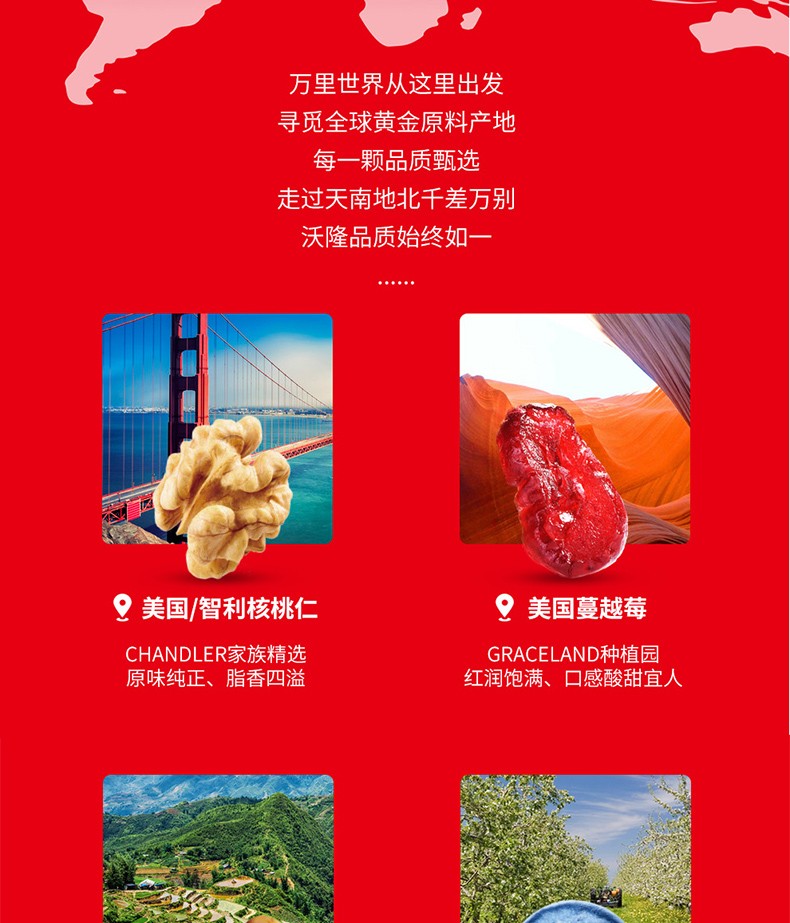 沃隆 休闲零食坚果炒货办公室小吃 每日坚果缤纷装825g