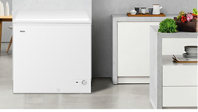 海尔（Haier）冰柜家用小型卧式单温小冷柜 冷藏冷冻转换一级节能冷冻冰柜 BC/BD-200GHZ
