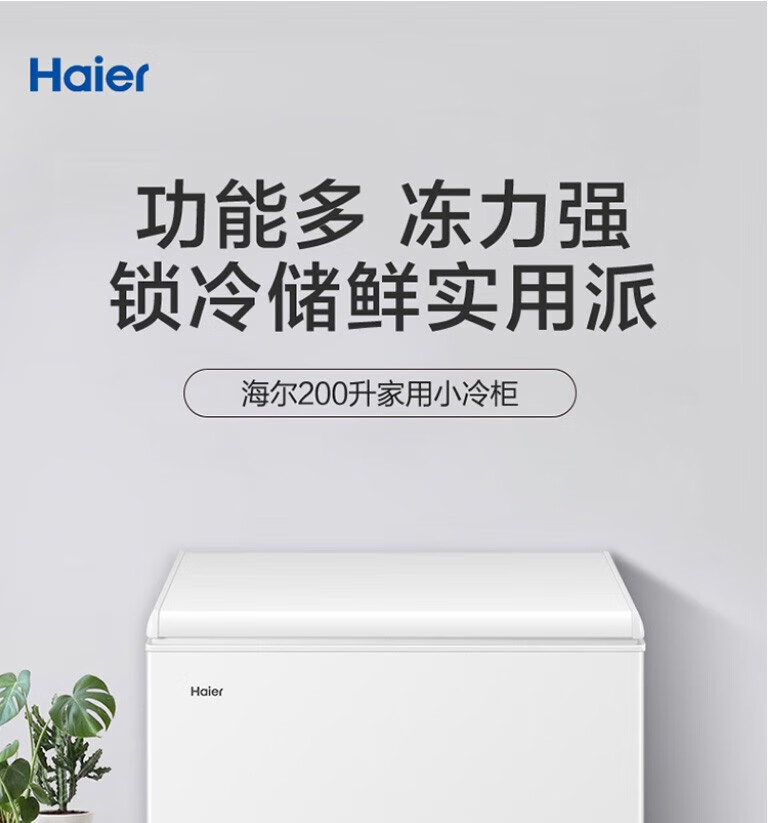 海尔（Haier）冰柜家用小型卧式单温小冷柜 冷藏冷冻转换一级节能冷冻冰柜 BC/BD-200GHZ