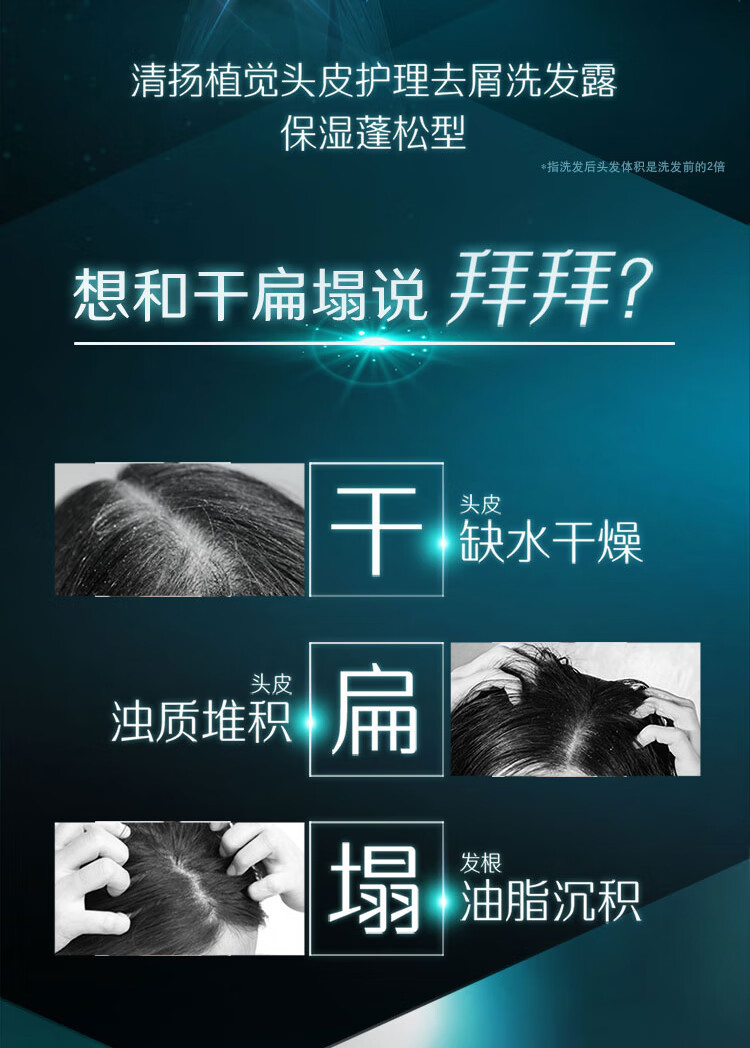 清扬 植觉头皮蓬松型电商组套 (380X2+100X2)g（新老包装随机发货）