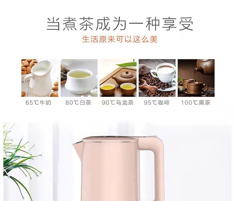 格来德 （Grelide）电热烧水壶自动断电保温 家用304不锈钢大容量格莱德 茱萸粉 D2818