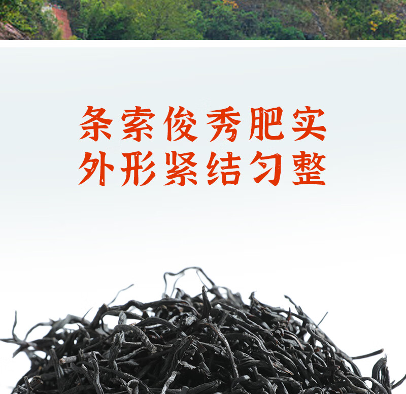 得一茶正山小种红茶袋装100g （京配）