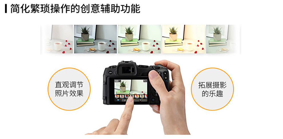 佳能（Canon）EOS RP 微单相机 数码相机 全画幅专业微单 Vlog相机 EOS RP(24-105mm) STM 套机 官方标配