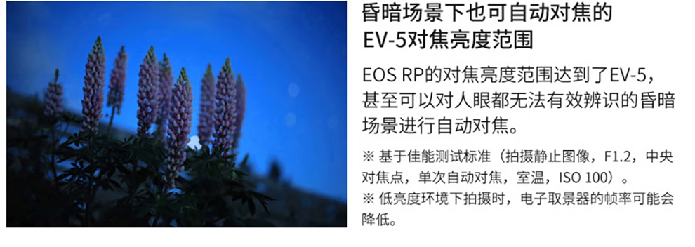 佳能（Canon）EOS RP 微单相机 数码相机 全画幅专业微单 Vlog相机 EOS RP(24-105mm) STM 套机 官方标配
