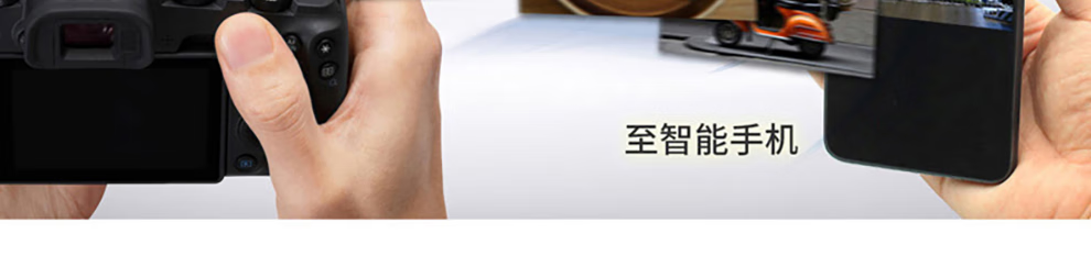 佳能（Canon）EOS RP 微单相机 数码相机 全画幅专业微单 Vlog相机 EOS RP(24-105mm) STM 套机 官方标配