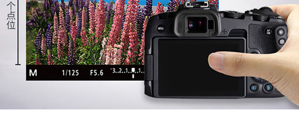 佳能（Canon）EOS RP 微单相机 数码相机 全画幅专业微单 Vlog相机 EOS RP(24-105mm) STM 套机 官方标配