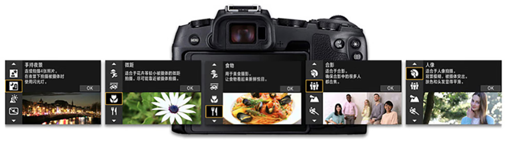佳能（Canon）EOS RP 微单相机 数码相机 全画幅专业微单 Vlog相机 EOS RP(24-105mm) STM 套机 官方标配