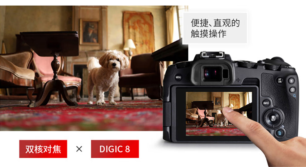 佳能（Canon）EOS RP 微单相机 数码相机 全画幅专业微单 Vlog相机 EOS RP(24-105mm) STM 套机 官方标配