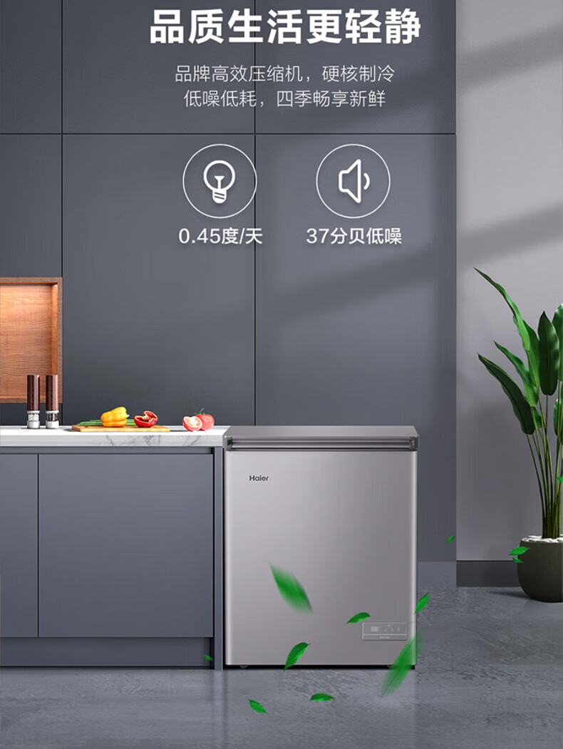 海尔（Haier）冰柜家用小型142升零下-40℃超低温无需除霜冷冻冷藏柜母乳囤货家用小型冷柜BC/BD-142GHEPC