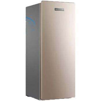 海尔（Haier）立式冰柜家用小型全冷冻速冻柜单门冰箱抽屉式母乳侧开门 151升风冷无霜丨5层分区炫金色BD-151WLY