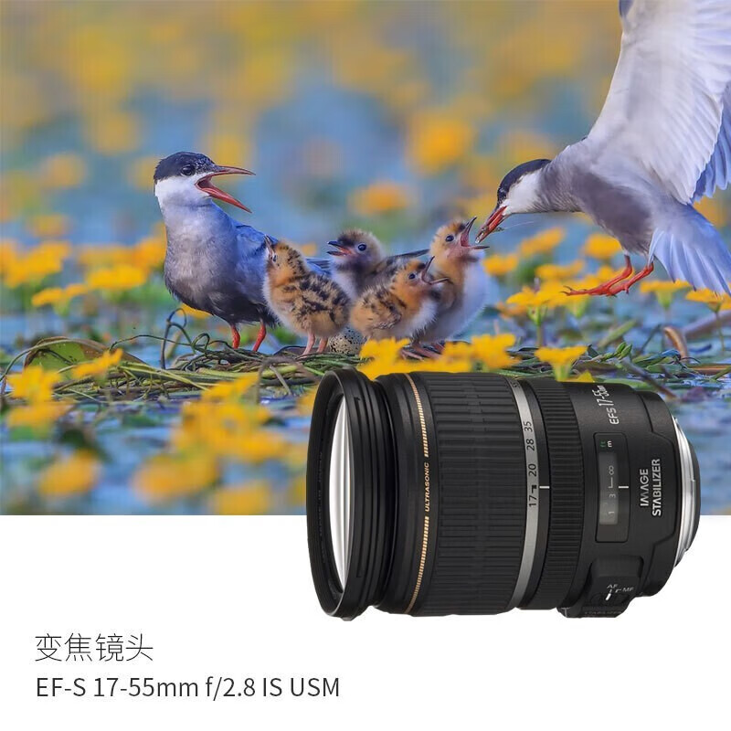 佳能（Canon）标准变焦镜头 佳能单反相机镜头 EF-S 17-55mm f/2.8 IS USM