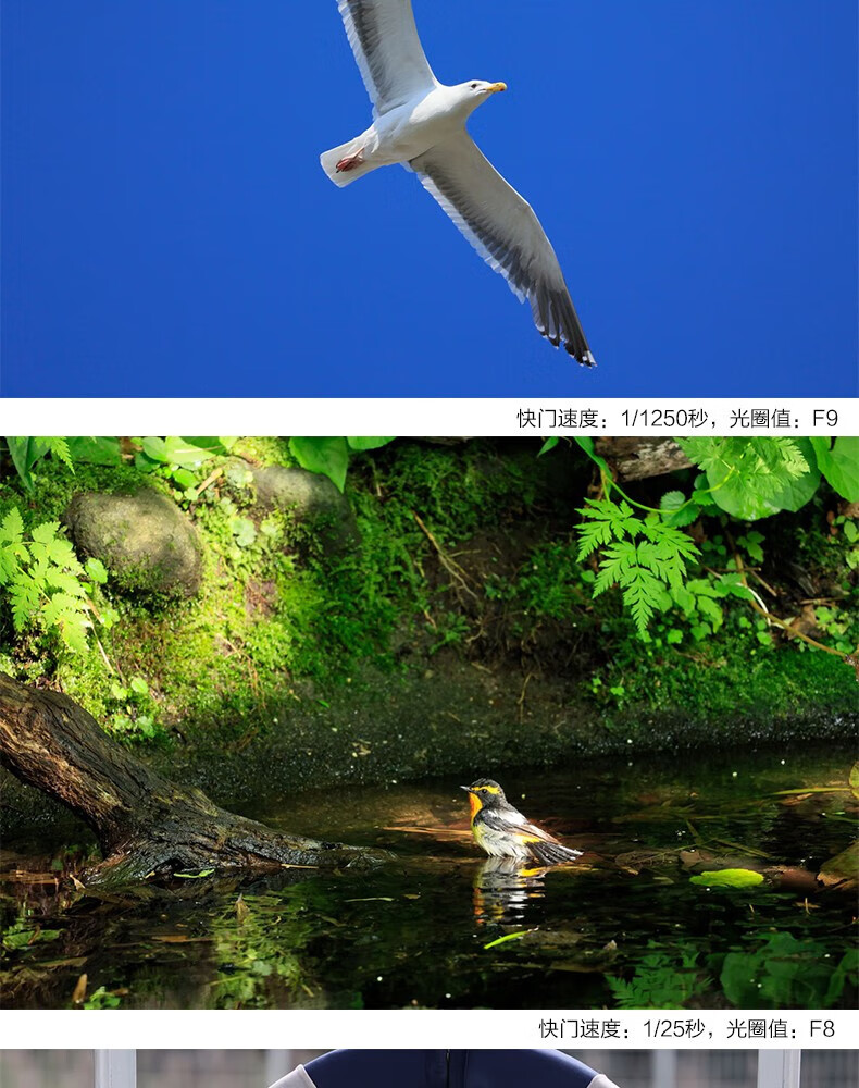 佳能（Canon）RF镜头 全画幅EOS-R用全画幅镜头 镜头镜头 RF100-400mm F5.6-8 IS USM