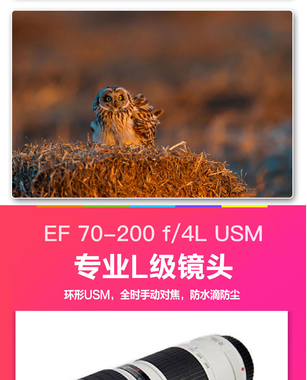 佳能（Canon）远摄变焦中长焦镜头 单反相机镜头打鸟 远景 超长焦 EF70-200 f/4L IS USM镜头