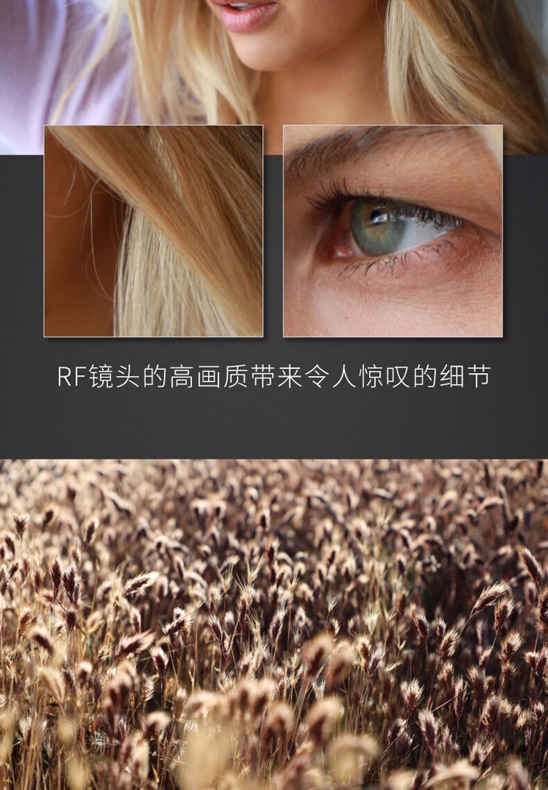 佳能（Canon）RF镜头 全画幅EOS-R用全画幅镜头 镜头镜头 RF28-70mm F2 L USM