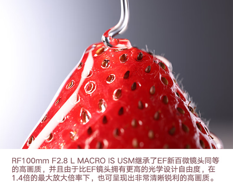 佳能（Canon）RF镜头 全画幅EOS-R用全画幅镜头 镜头镜头 RF50mm F1.2 L USM
