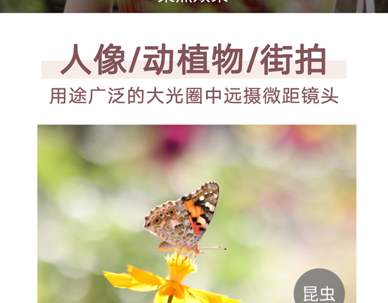 佳能（Canon）RF镜头 全画幅EOS-R用全画幅镜头 镜头镜头 RF50mm F1.2 L USM