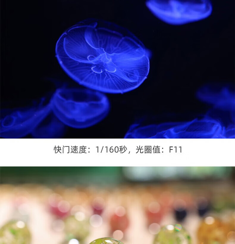 佳能（Canon）RF镜头 全画幅EOS-R用全画幅镜头 镜头镜头 RF50mm F1.2 L USM