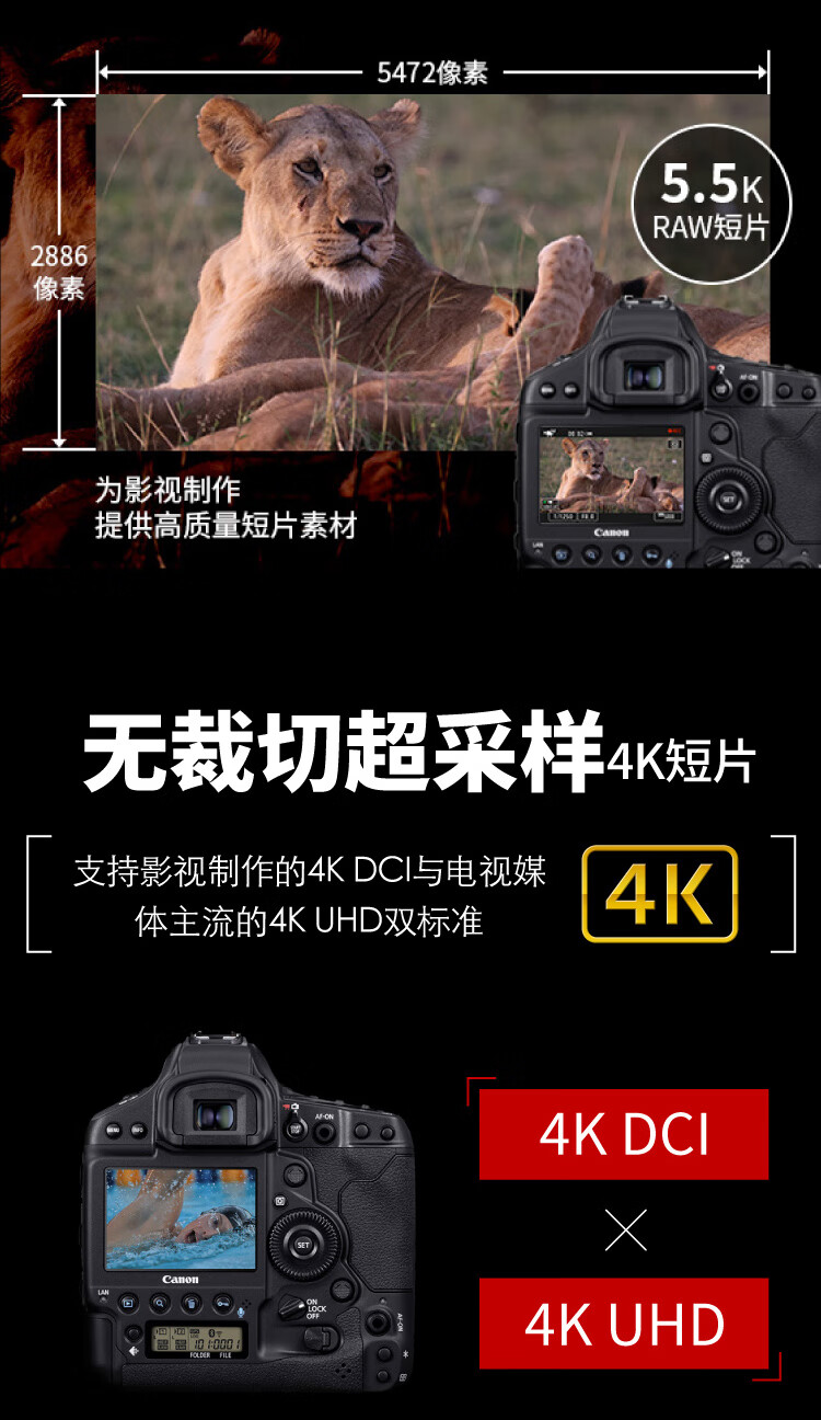 佳能（Canon）EOS-1DX Mark III 单反相机 单反机身 1DX3单机身 官方标配