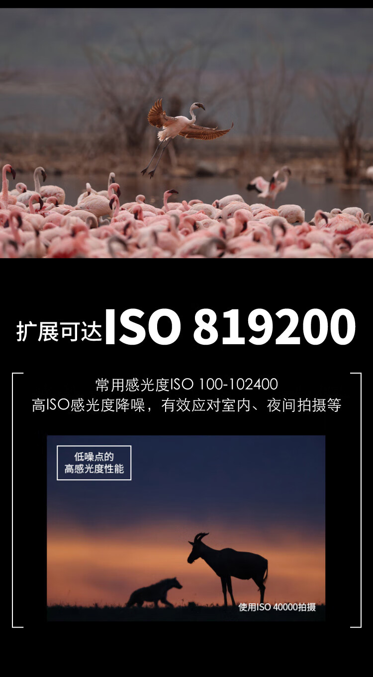 佳能（Canon）EOS-1DX Mark III 单反相机 单反机身 1DX3单机身 官方标配