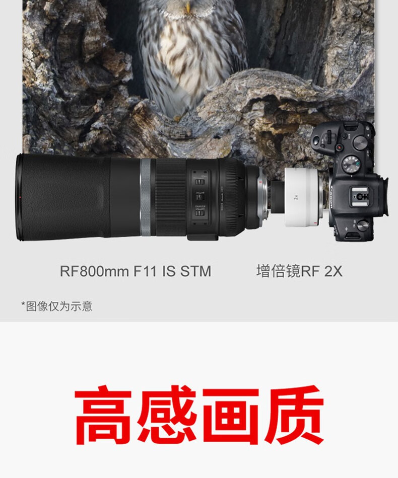 佳能（Canon）EOS R6 全画幅微单相机 机身/套机全画幅专业 Vlog相机 4K短片拍摄 RF70-200 F2.8 USM
