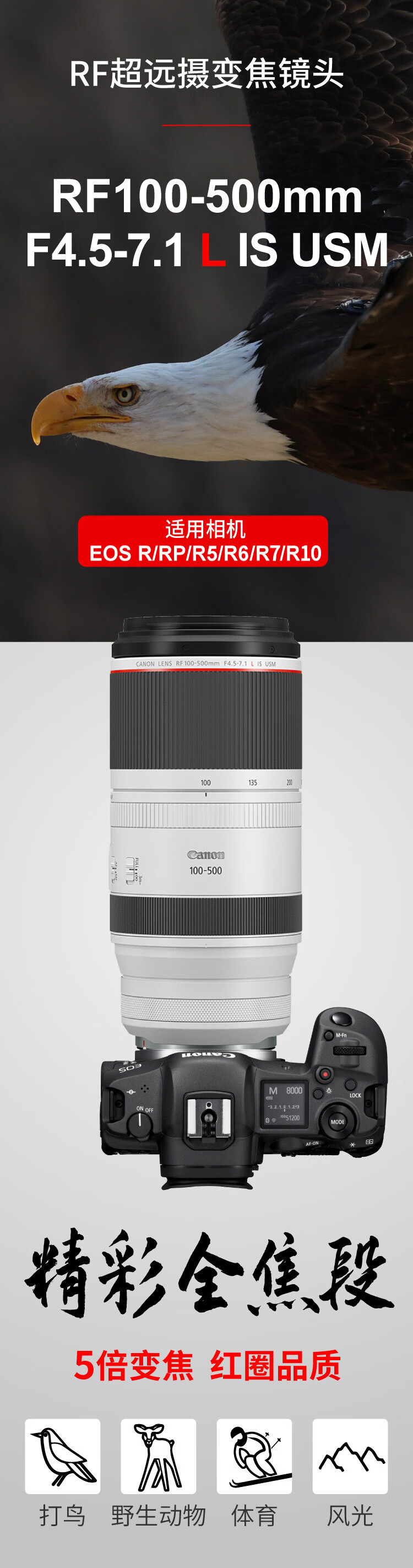 佳能（Canon）RF镜头 全画幅EOS-R用全画幅镜头 镜头镜头 RF100-500mm F4.5-7.1 L IS
