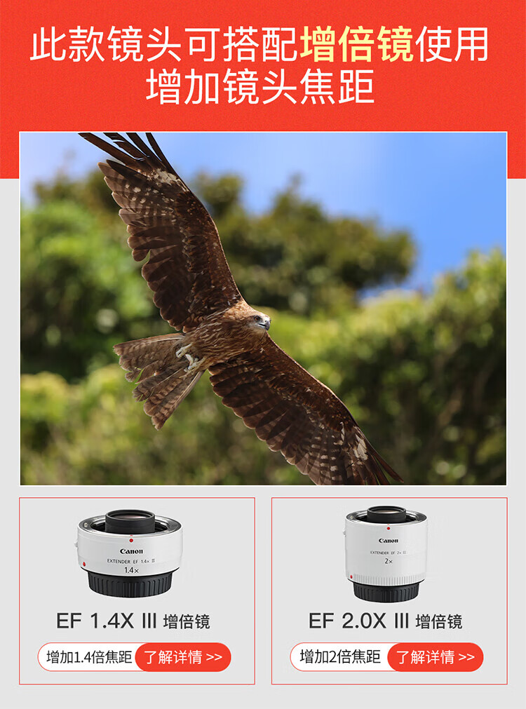 佳能（Canon）大三元镜头 佳能原装镜头 EF70-200 F2.8三代