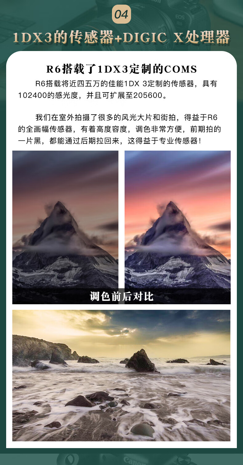 佳能（Canon）EOS R6 全画幅微单相机 机身/套机全画幅专业 Vlog相机 4K短片拍摄 单机身(不含镜头)