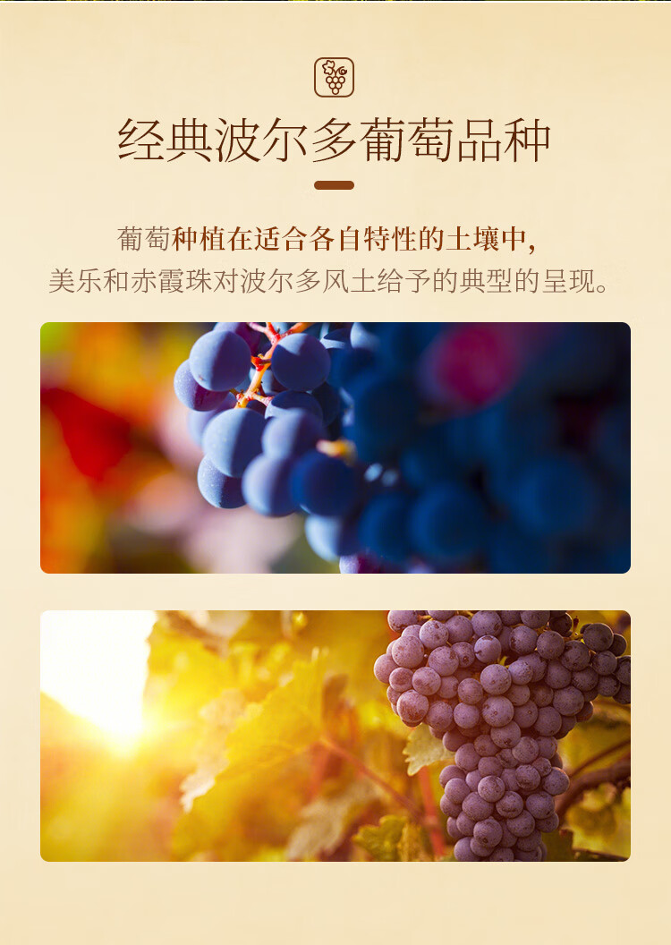 张裕先锋 法国进口苔思藤酒庄干红葡萄酒 750ml*6瓶