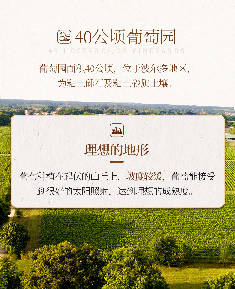 张裕先锋 法国进口苔思藤酒庄干红葡萄酒 750ml*6瓶