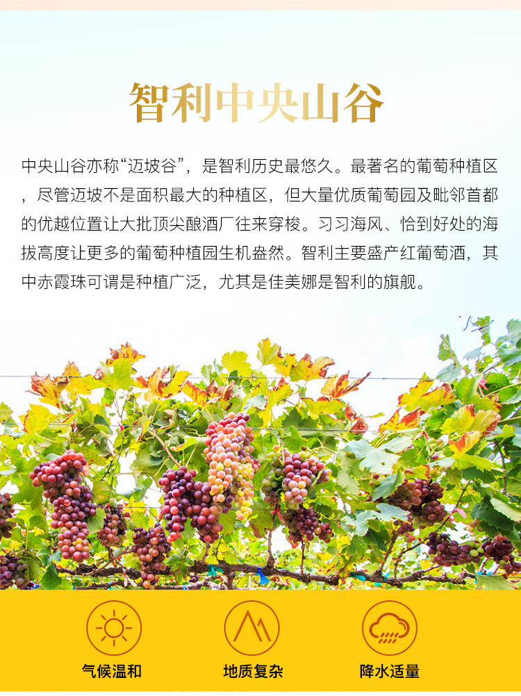 张裕先锋 智利进口科帕尔赤霞珠干红葡萄酒 750ml*6瓶