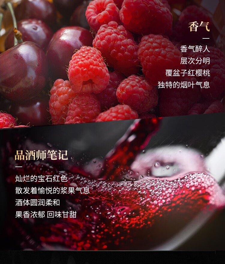 张裕先锋 世界之眼进口干红葡萄酒 750ml*6瓶