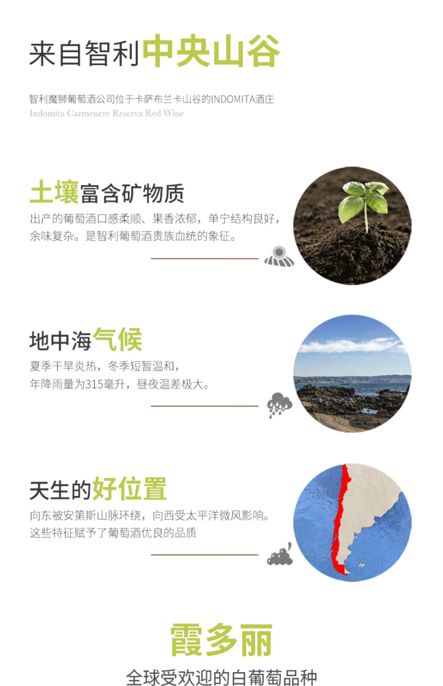 张裕先锋 智利进口魔狮霞多丽干白葡萄酒 750ml*6瓶