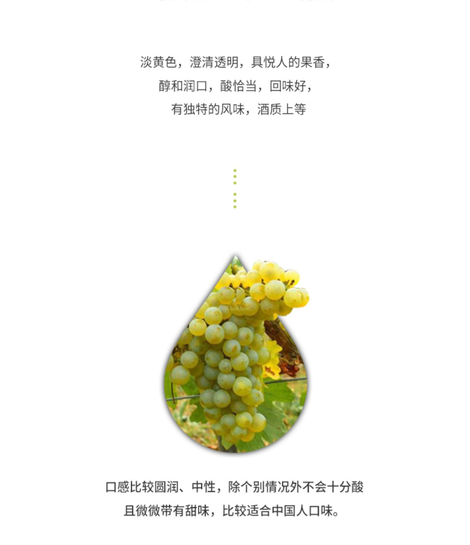 张裕先锋 智利进口魔狮霞多丽干白葡萄酒 750ml*6瓶