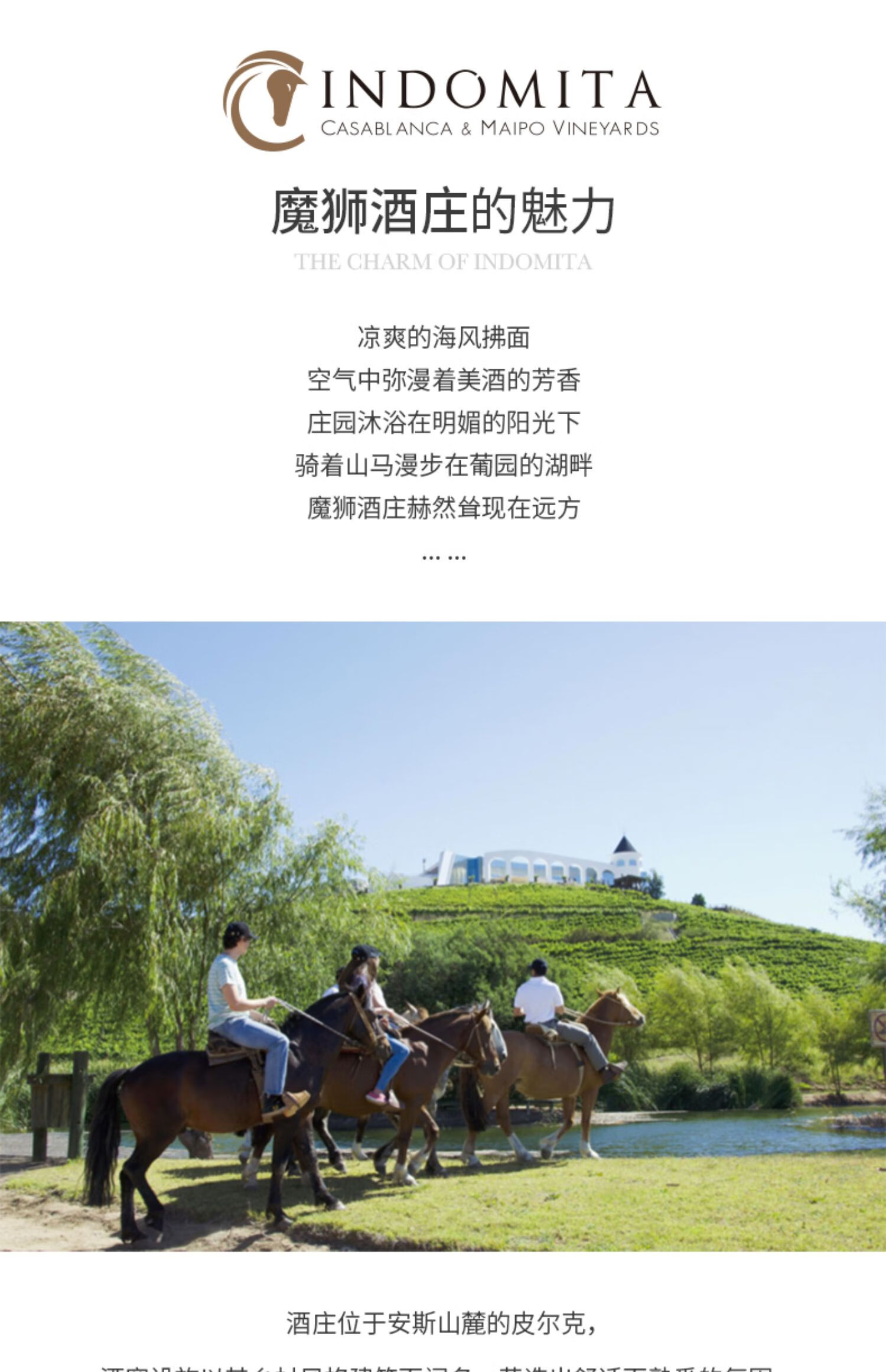 张裕先锋 智利进口魔狮霞多丽干白葡萄酒 750ml*6瓶