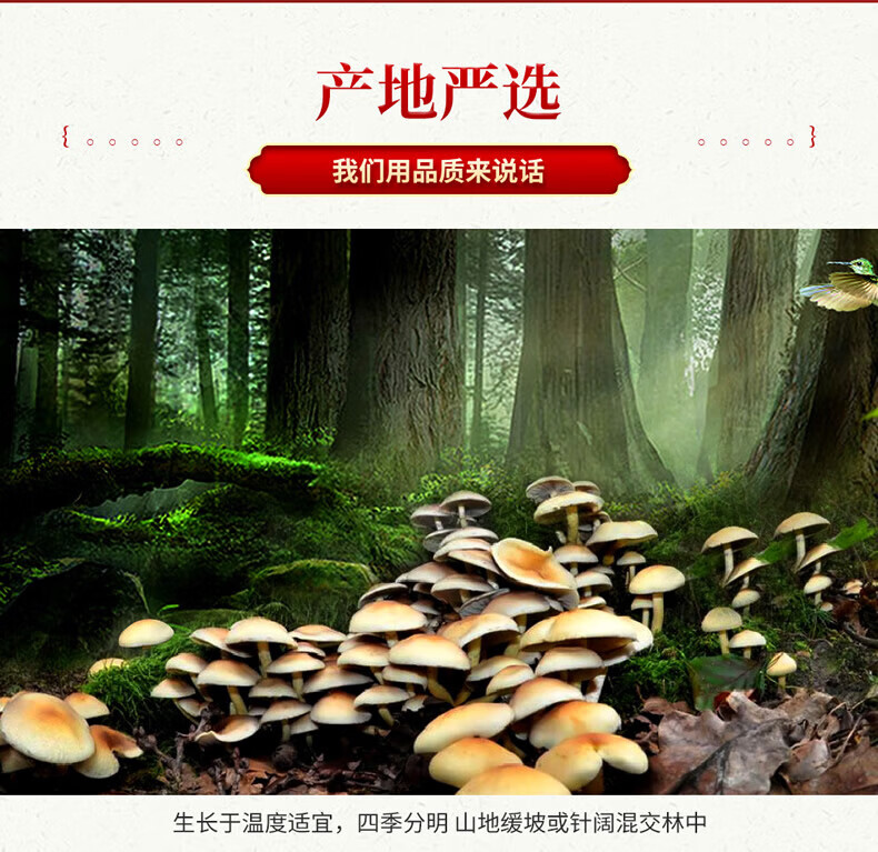 首粮 家用送礼南北干货 干菌食用大礼包山珍献礼干菌礼盒