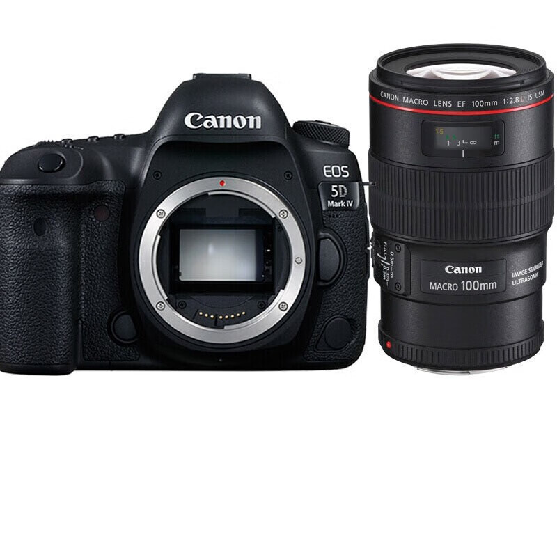 佳能（Canon）5D4 5D Mark IV 专业全画幅单反相机单机/套机 4K视频单反相机 EF100mm f/2.8L IS USM微距