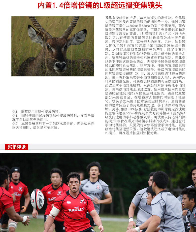 佳能（Canon）远摄定焦长焦镜头 打鸟 远景 长焦 超长焦 EF200-400mm f/4L IS USM