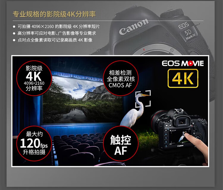 佳能（Canon）5D4 5D Mark IV 专业全画幅单反相机单机 4K视频单反相机 5D4 单机身/不含镜头(独立包装）