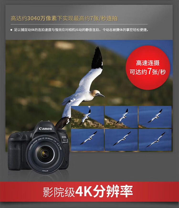 佳能（Canon）5D4 5D Mark IV 专业全画幅单反相机单机 4K视频单反相机 5D4 单机身/不含镜头(独立包装）