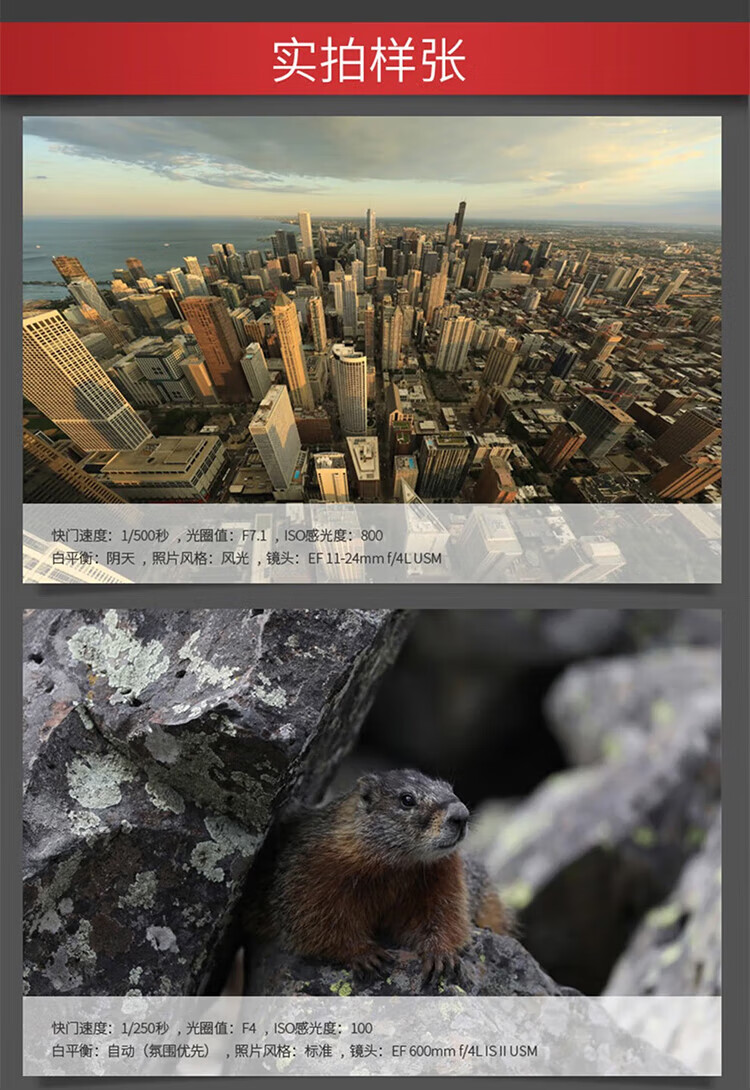佳能（Canon）5D4 5D Mark IV 专业全画幅单反相机单机 4K视频单反相机 5D4 单机身/不含镜头(独立包装）