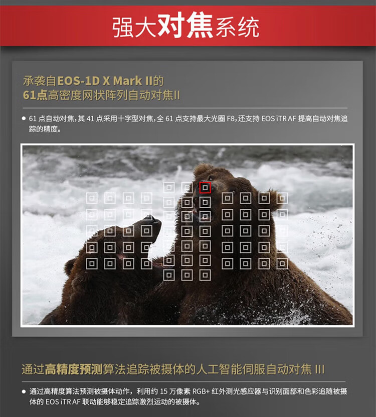 佳能（Canon）5D4 5D Mark IV 专业全画幅单反相机单机 4K视频单反相机 5D4 单机身/不含镜头(独立包装）
