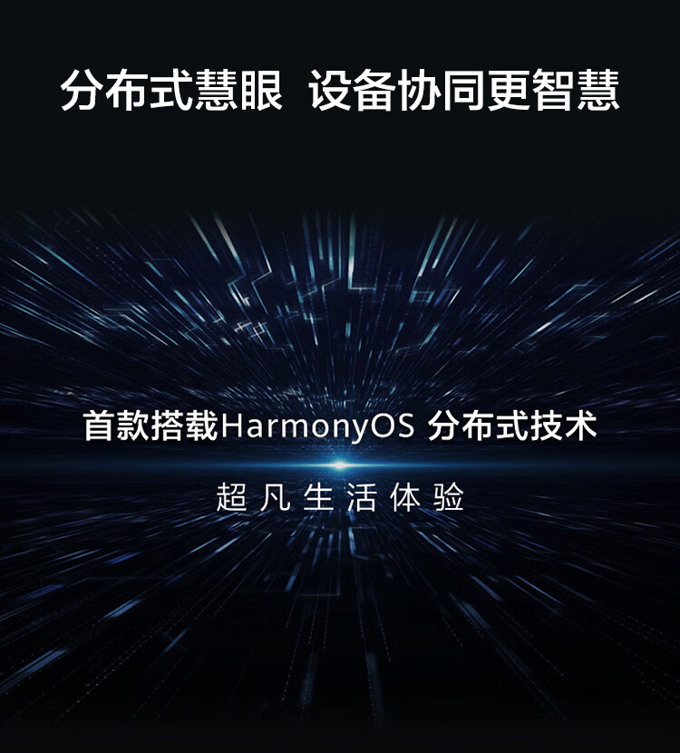 华为（HUAWEI）智选 家用全景海雀智能摄像头PRO 2K版32G内置存储/AI监测/智能家居监控器/无线高清300W像素