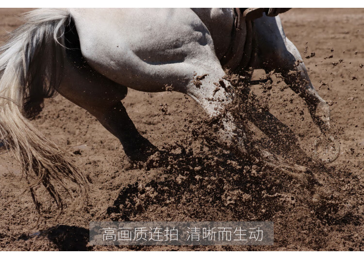 佳能（Canon）EOS 90D套机 单反相机 佳能90d 单机 EOS vlog数码相机 单机+50 1.8STM套装 官方标配