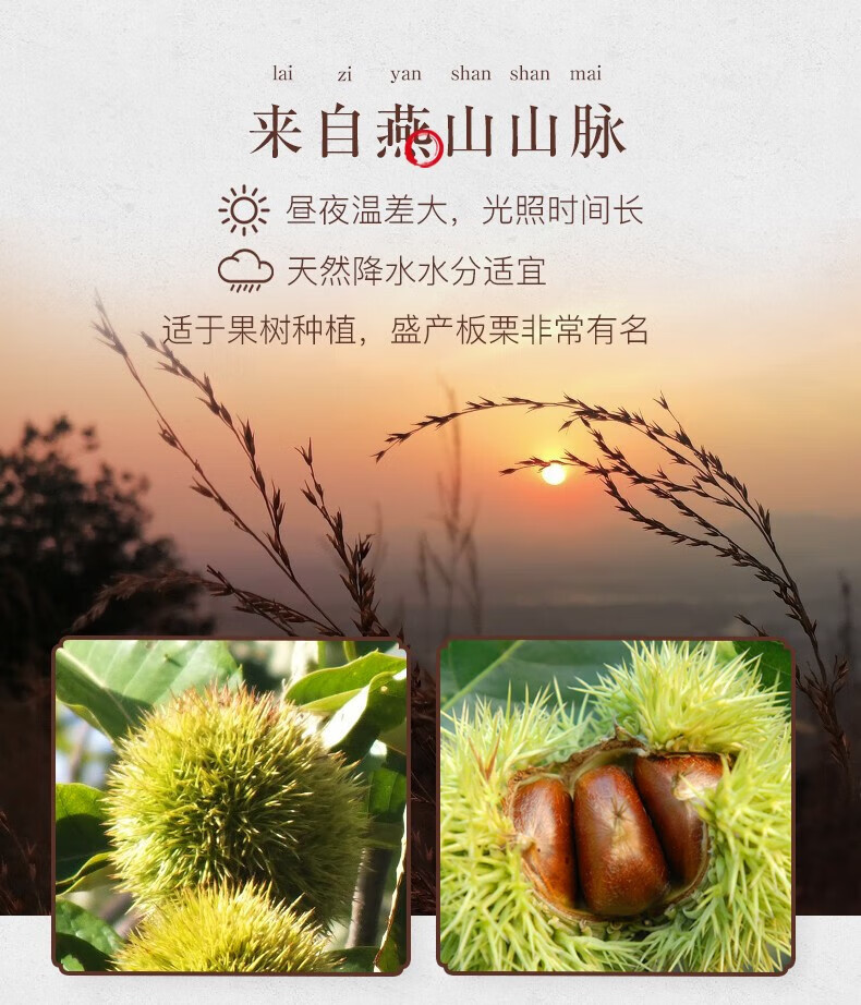 姚生记 休闲零食 板栗仁88g*5袋